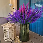 Summer Breeze Apartament *